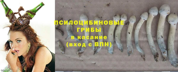 МДМА Кодинск