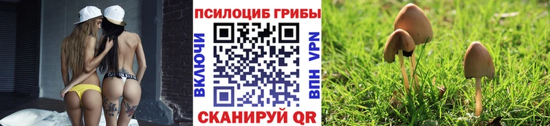 магазин продажи наркотиков  Духовщина  Галлюциногенные грибы мухоморы 
